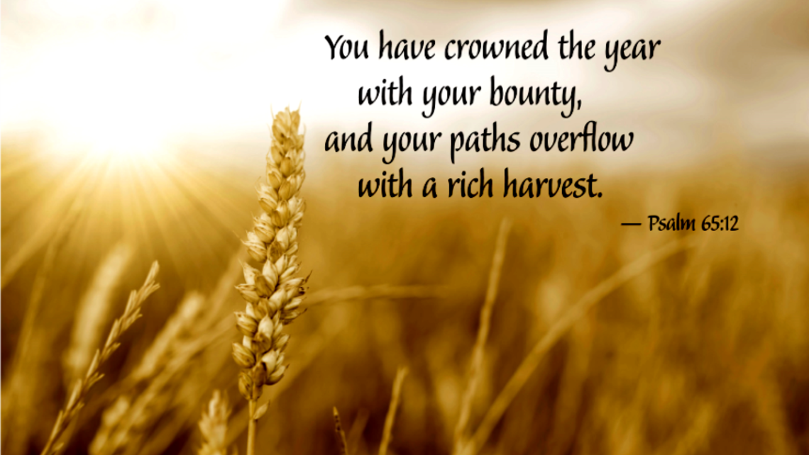Soil Of Our Lives