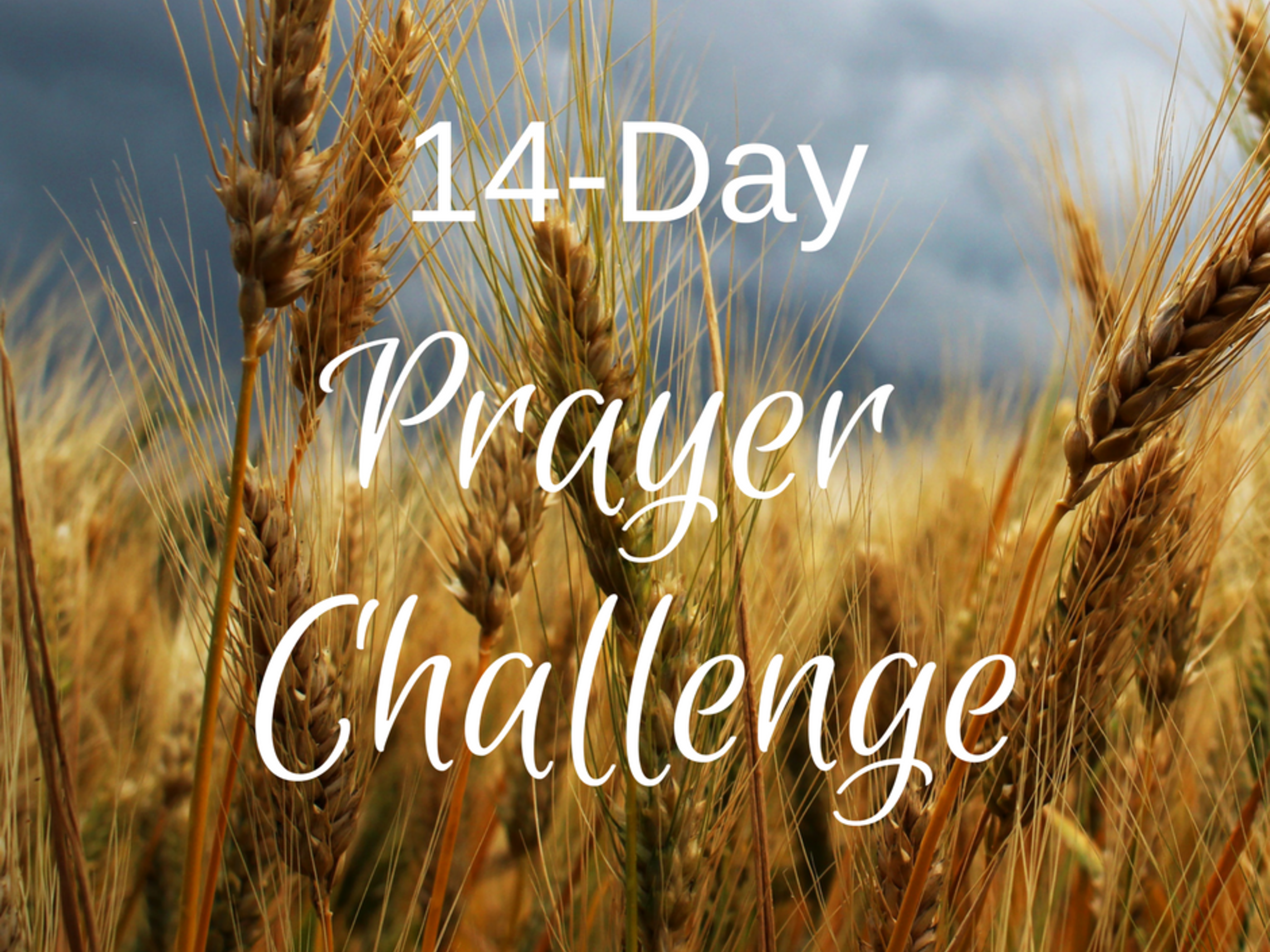 14 Day Prayer Challenge 1