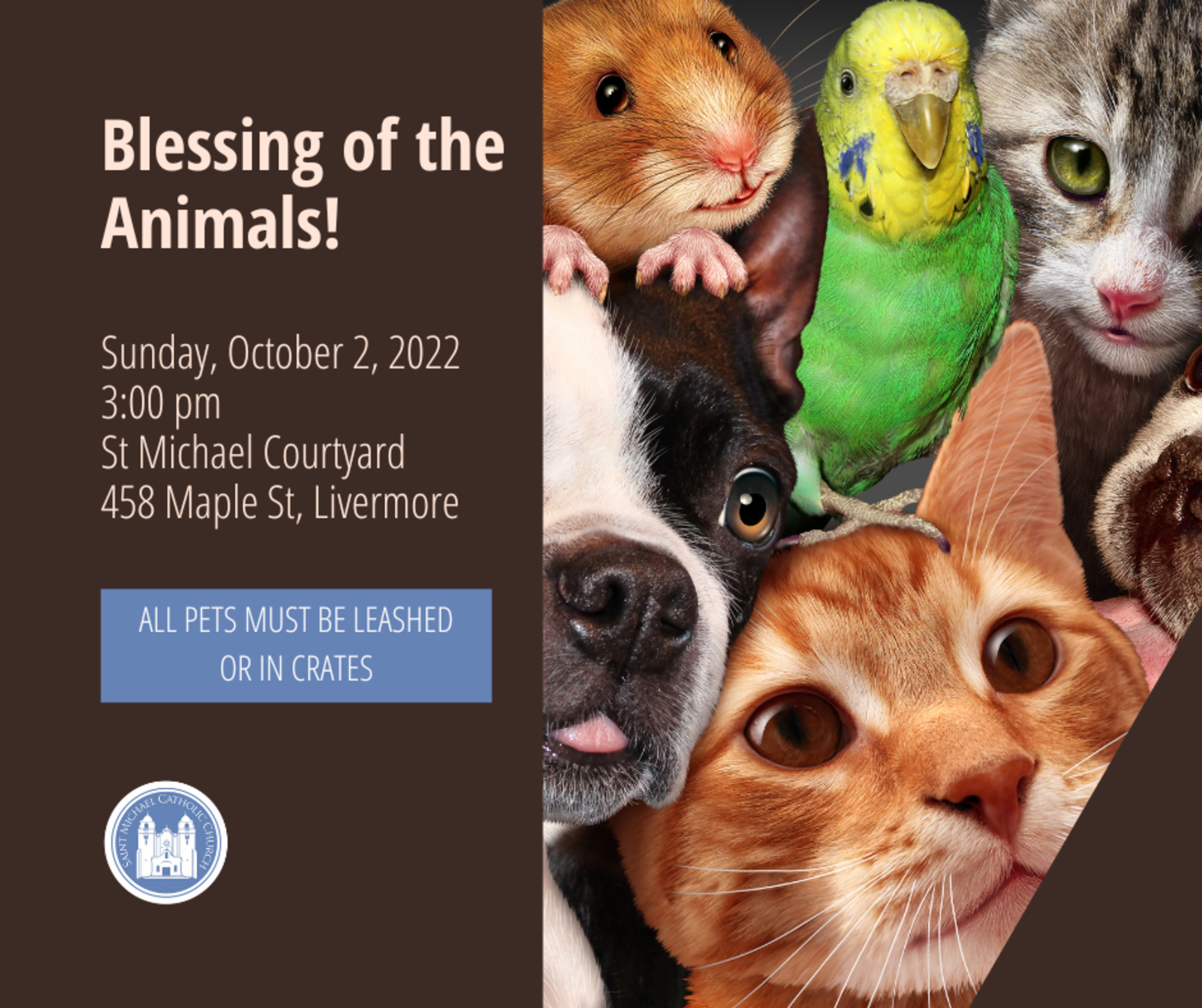 Blessing Of The Animals   Fb Post