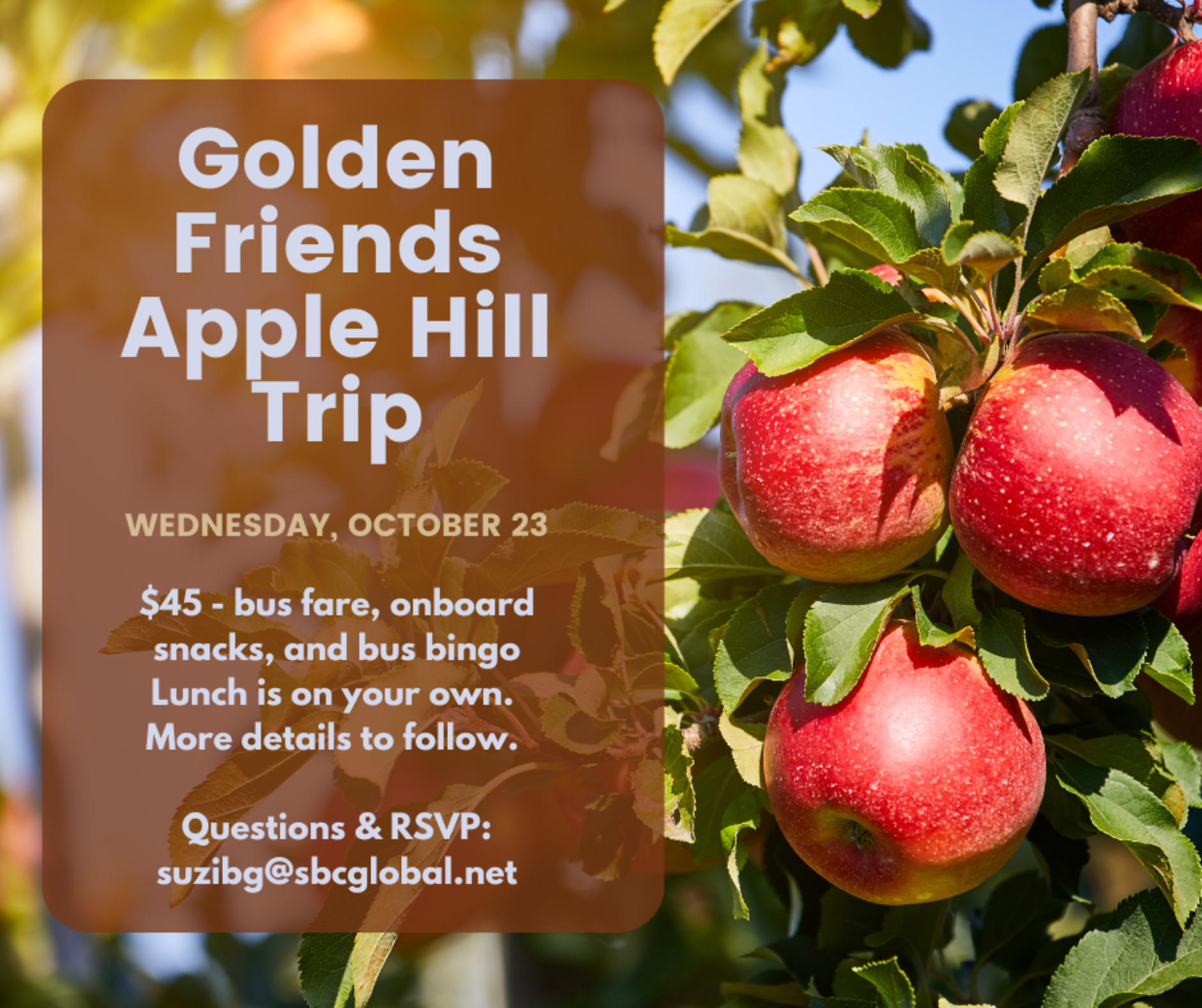 Golden Friends Apple Hill 2024