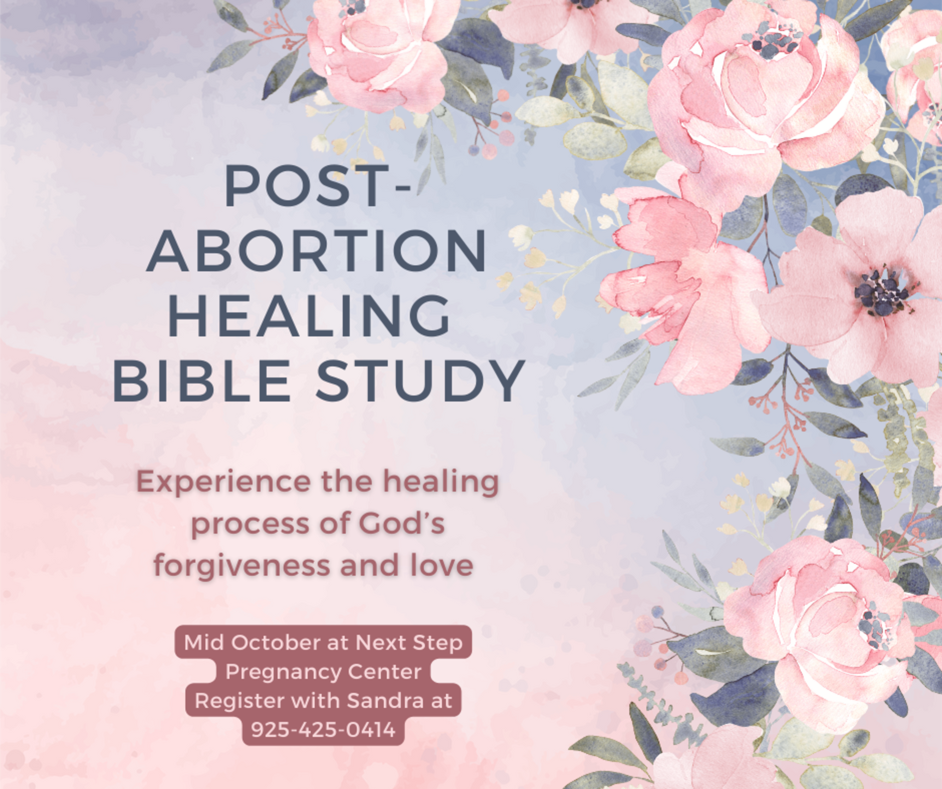 Post Abortion Healing Bible Study