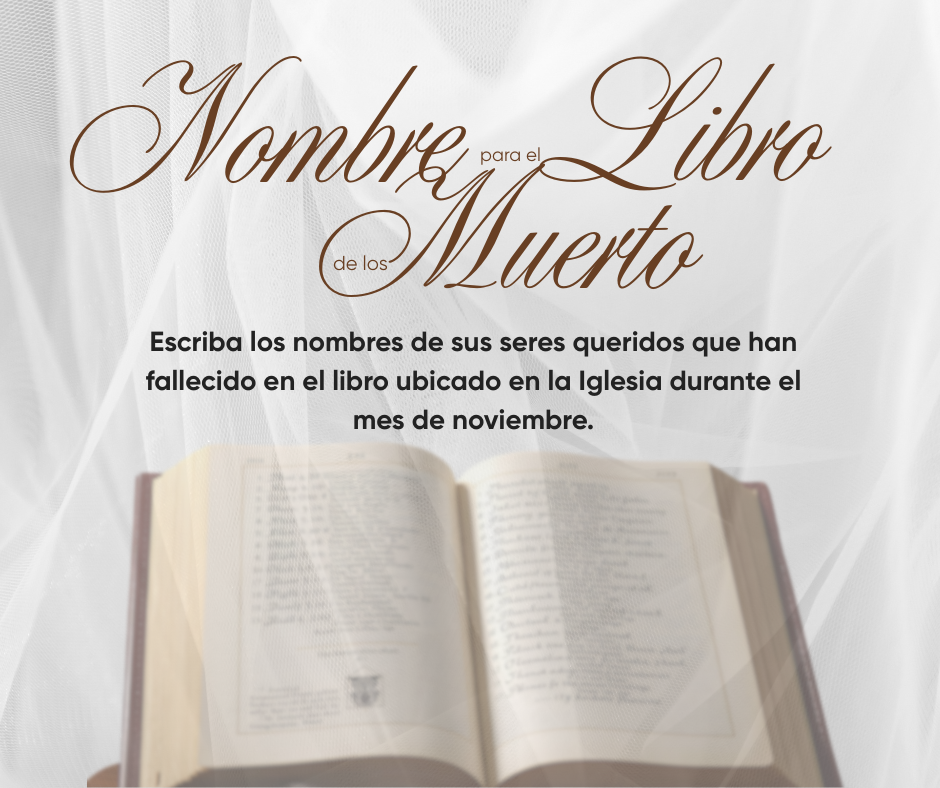 Book Of The Names Of The Dead Spanish