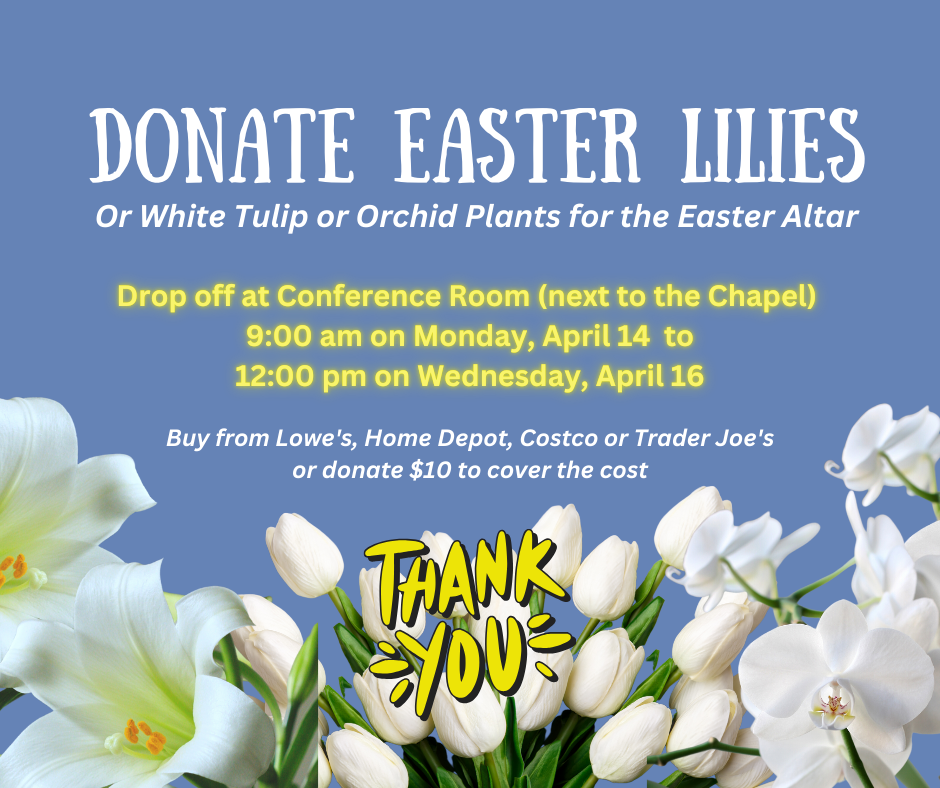 Donate Easter Lilies 2025