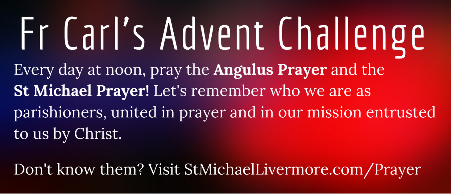 Fr Carls Advent Challenge