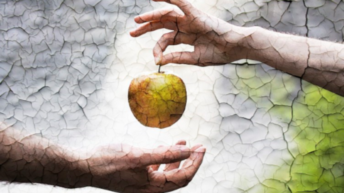 Adam And Eve Apple