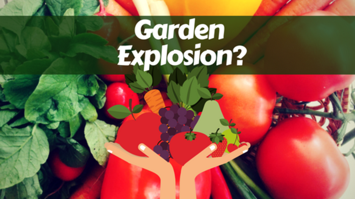 Garden Explosion Blog