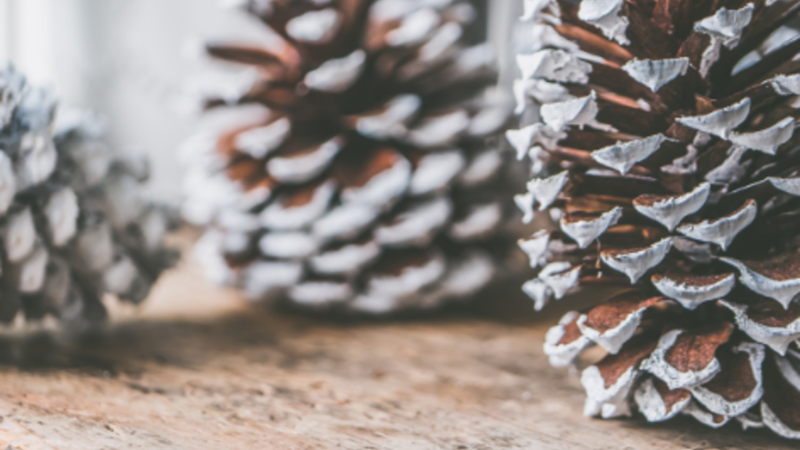 Holiday Office Hours