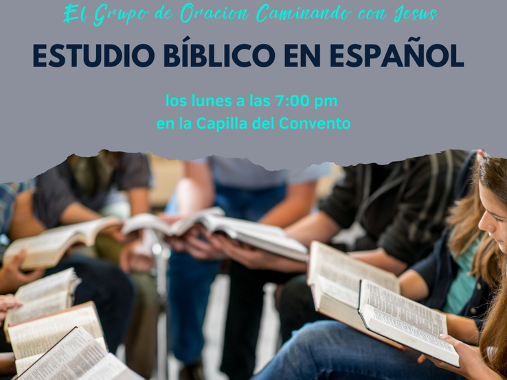 Estudio Biblico Blank