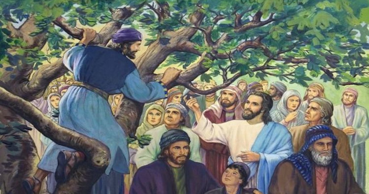 The “Zacchaeus” in Your Life St. Michael Catholic Church