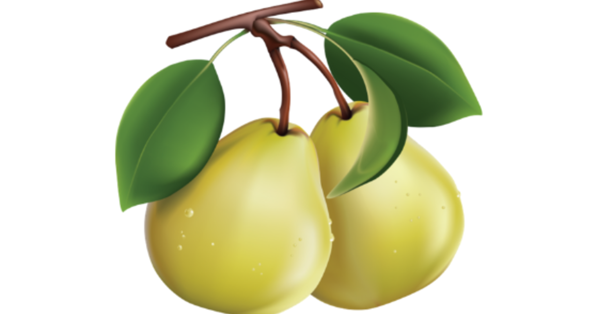 Bear Fruit St Michael Catholic Church Bear Fruit St Michael Catholic Church